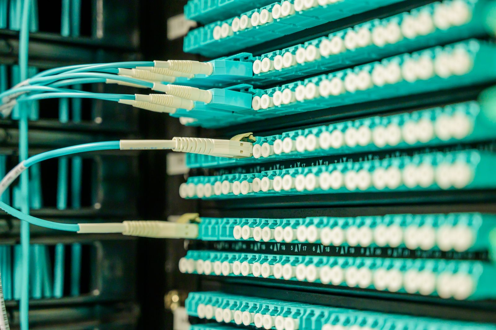 BGP routing and network architecture consultation